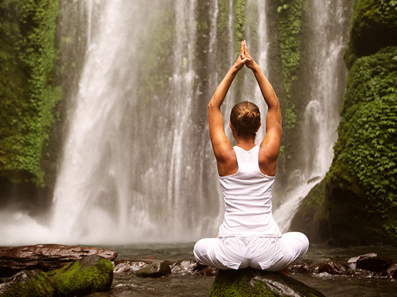 flower in water photo