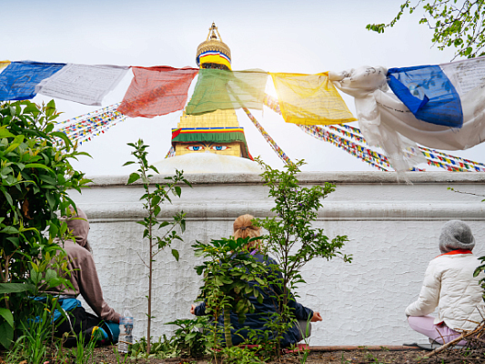 Yama in yoga: five principles for a harmonious life