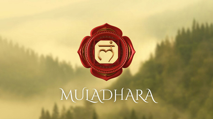 Muladhara chakra photo