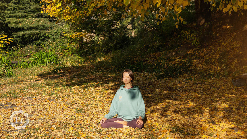 forest meditation photo