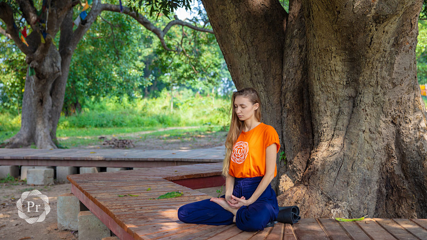 meditation under a tree photo
