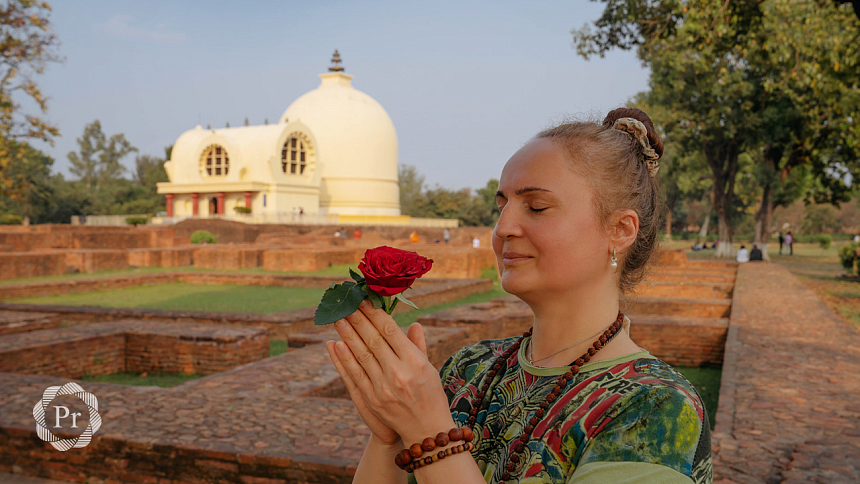 girl and rose photo